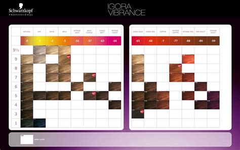 Igora 10 Color Chart Printable Templates Free