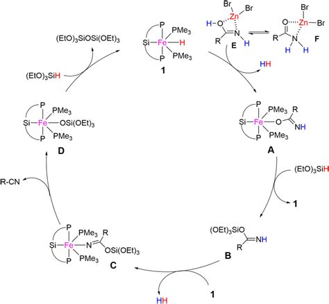 A Proposed Catalytic Mechanism Download Scientific Diagram