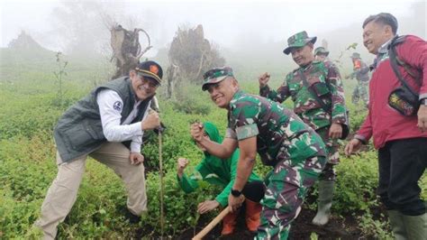 Perhutani KPH Pekalongan Barat Lakukan Penanaman Lanjutan Di Hutan