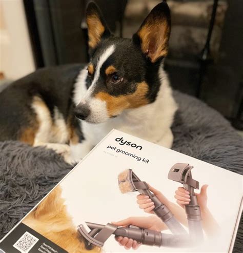 Review: Dyson's NEW Pet Grooming Kit
