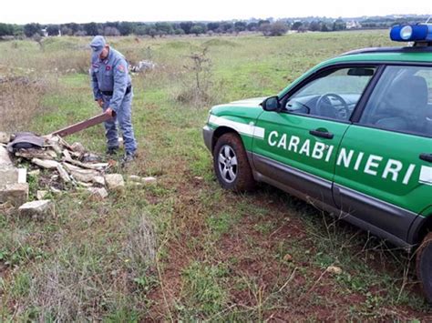 Abbandono Di Rifiuti Speciali Carabinieri Forestali Denunciano Due Persone