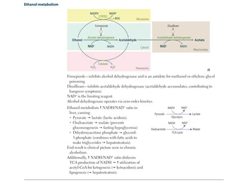 Biochemistry Metabolism Uslme Part I Flashcards Quizlet