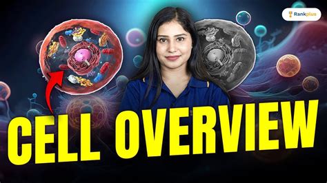 Cell The Unit Of Life Overview Of Cell Biology Cbse Class