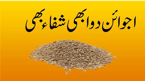 Ajwain Khane Ke Benefits Ajwaine Ka Istmal Ajwain Ky Peeny Ka Faida