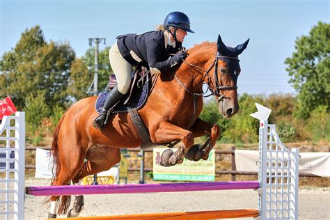 Aout Parc Questre Des Sablons Val De Reuil Cso