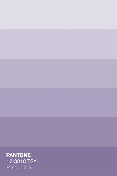 Pantone Tsx Purple Yam Colour Tint Lavender Color Palette