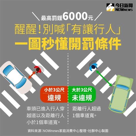 交通新制1圖秒懂！離行人3公尺內就違規？交通新制開罰標準公開 生活 Nownews今日新聞