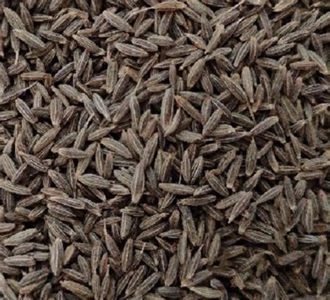 Brown Organic Cumin Seed At Rs 230 Kg In Lucknow ID 22345012897