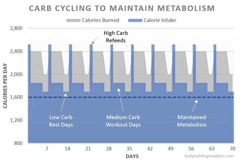 carb cycling calculator benefits | Metabolism, Carb cycling calculator, Carb cycling