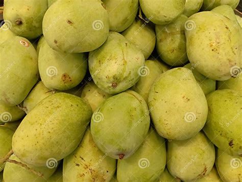 Pile Of Fresh Ripe Mangoes Green Mangoes Asian Fruit Indonesia Stock