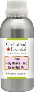 Greenwood Essential Pure Holy Basil Tulsi Essential Oil Ocimum