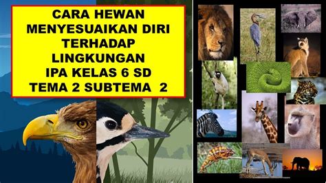 Cara Hewan Menyesuaikan Diri Terhadap Lingkungan Ipa Kelas Sd Tema