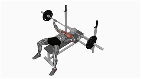 Mastering The Barbell Wide Bench Press A Beginner S Guide To Building