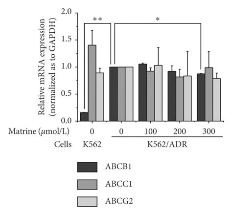 Effects Of Matrine On Drug Exporters And Activation Of Nf Kappa B A