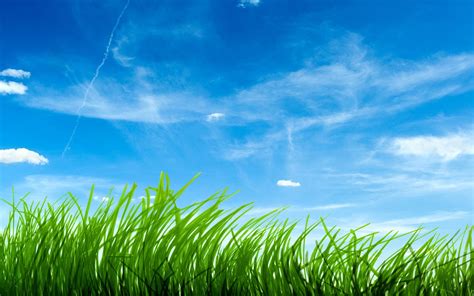 Clouds Grass Skyscapes Wallpapers Hd Desktop And Mobile Backgrounds