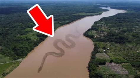 Why The Amazon River Has No Bridges - Go IT