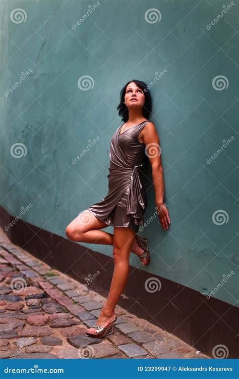 Gorgeous Brunette In Sexual Pose Stock Image Image Of Model Cobblestone 23299947