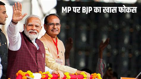 Why Mp Assembly Elections Winning Is Important For Bjp Jansatta