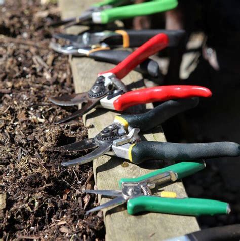 Mantenimiento De Las Tijeras De Podar Mis Plantas