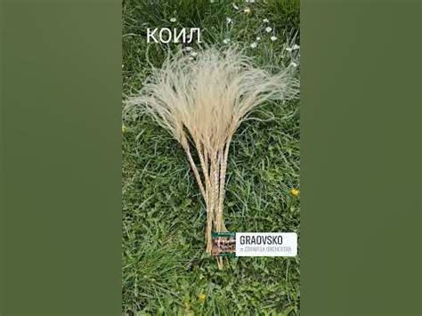 Коил (коило) за лазарска украса - YouTube
