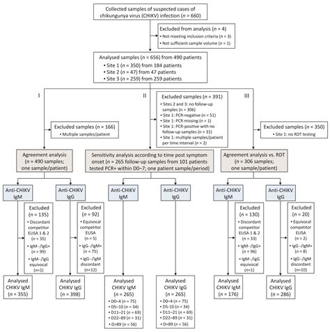 Diagnostics Free Full Text Performance Evaluation Of Vidas