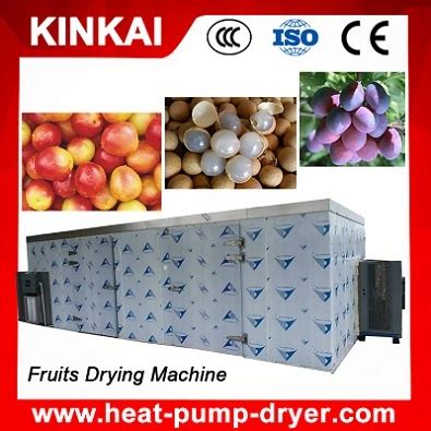 Hot Air Circulation Industrial Fruit Drying Machine China Fruit Drying Machine And Industrial