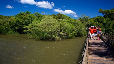 Misiones lanzará el Programa Ahora Viajá para recorrer la provincia