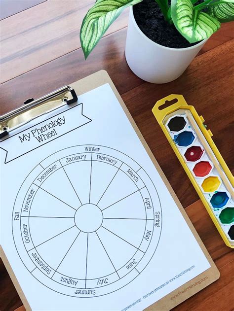 Monthly Phenology Wheel Printable Template Nature Journaling