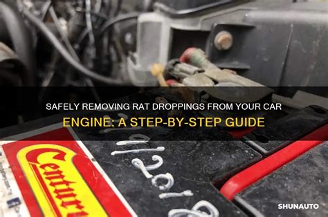 Safely Removing Rat Droppings From Your Car Engine: A Step-By-Step