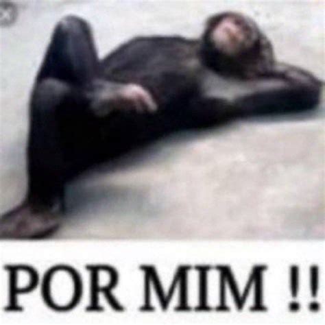 por mim !! meme do macaco em paz | Fotos engraçadas para perfil