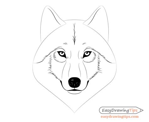 Wolf Ears Drawing Easy