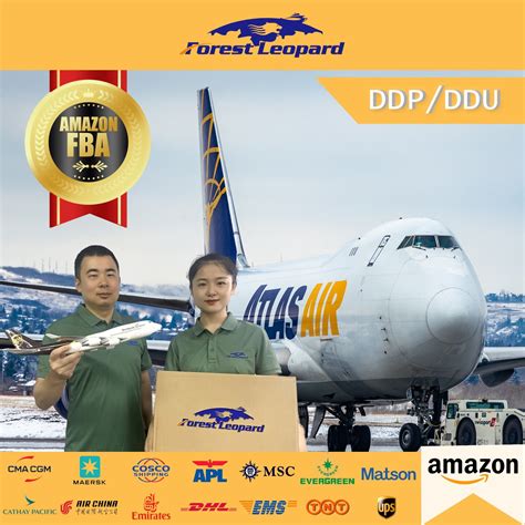 DHL UPS FedEx TNT EMS Aramex Door to Door DDU DDP Express Shipping From