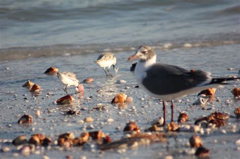 CAPTAIN BUBBYS ISLAND TOURS Updated June 2024 10 Photos Fort