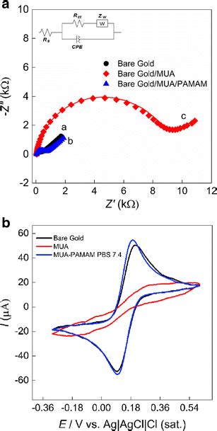 Nyquist Plots Z Vs Z Of Eis A And Cyclic Voltammograms B For