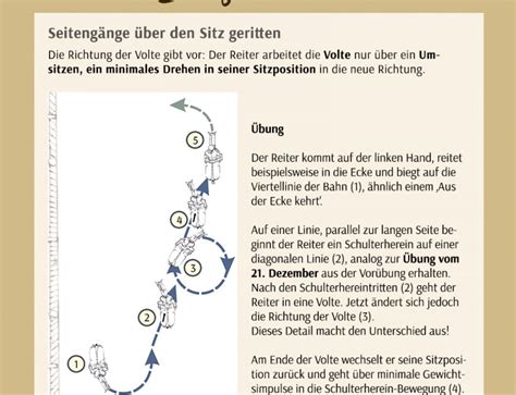 16 Koordination Und Timing Der Hilfengebung Im Schulterherein