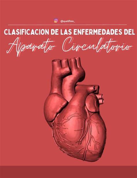 Clasificación de las enfermedades del aparato circulatorio Queli Mora