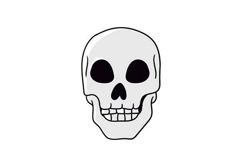 Human Skull Clipart Artwork Graphic by TiveCreate · Creative Fabrica