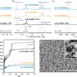 Structural And Morphological Characterization Of The Initiator NU 1000