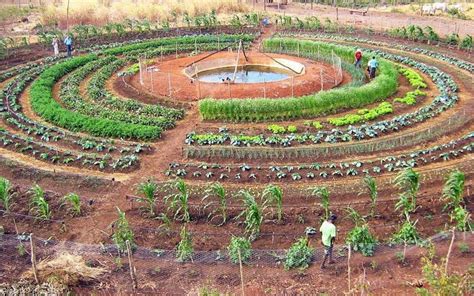 Voluntario En Proyecto De Permacultura Para Transformar El Mundo