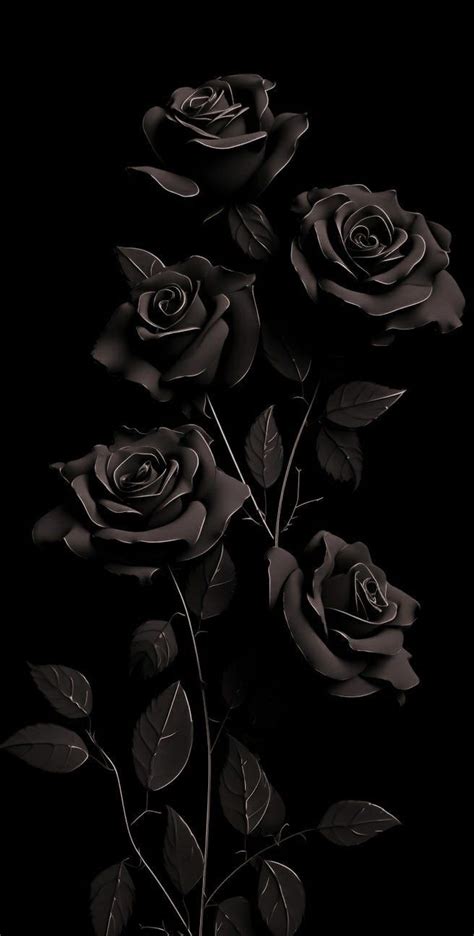 Black Roses Wallpaper Black Wallpaper Iphone Dark Rose Wallpaper