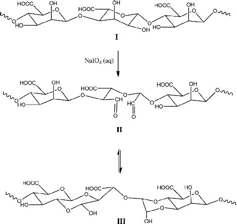 Reaction Scheme For The Periodate Oxidation Reaction Of Alginate I