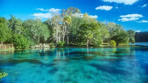 Aguas Termales en Florida USA Guía del Viajero 2024