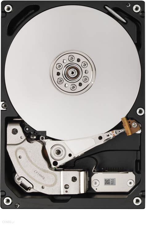 Dysk Twardy Toshiba Mg Series Enterprise Capacity Hdd Tb Mg Aca Tey