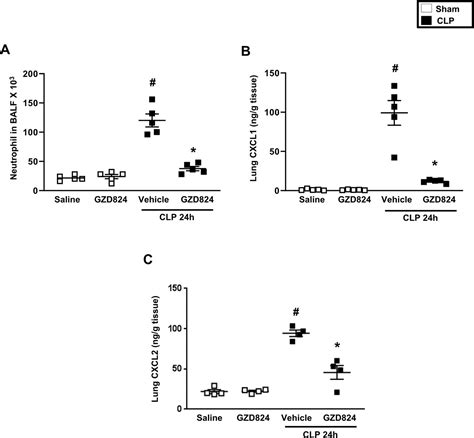 C Abl Kinase Regulates Neutrophil Extracellular Trap Formation And Lung