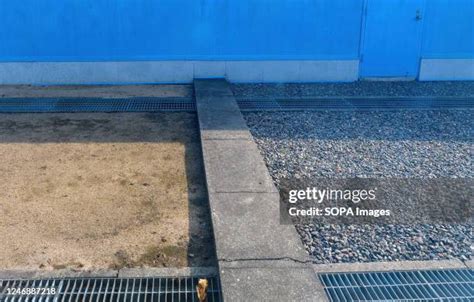 military demarcation  korea stock  high res pictures