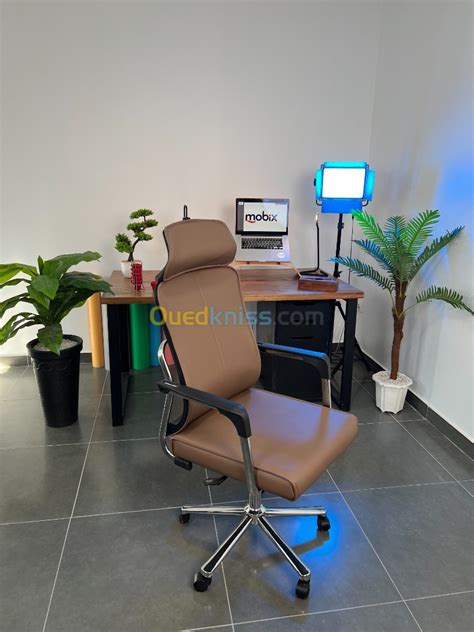 Chaise De Bureau SEDIA EXECUTIVE Marque MOBIX DZ بومرداس الجزائر