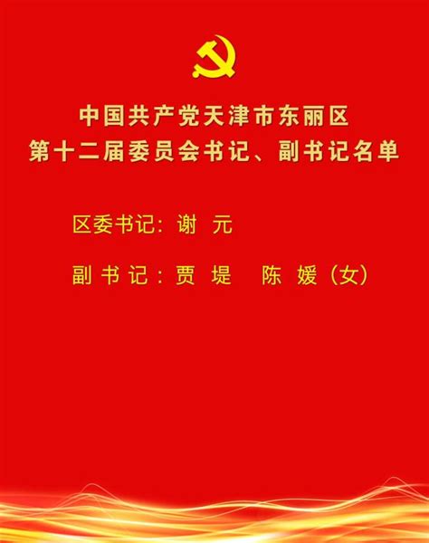 中国共产党天津市东丽区第十二届委员会书记、副书记、常务委员会委员名单澎湃号·政务澎湃新闻 The Paper