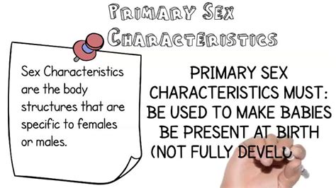 Solved Which Of The Following Is A Primary Sex Characteristic That