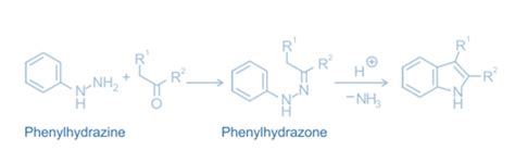 Fischer Indole Synthesis: Mechanism, Features, Drawbacks