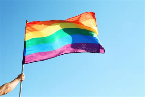 Colores De La Bandera De Lgbt Sobre Fondo Texturizado De Madera Foto De